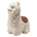 Plush toy llama on a white background