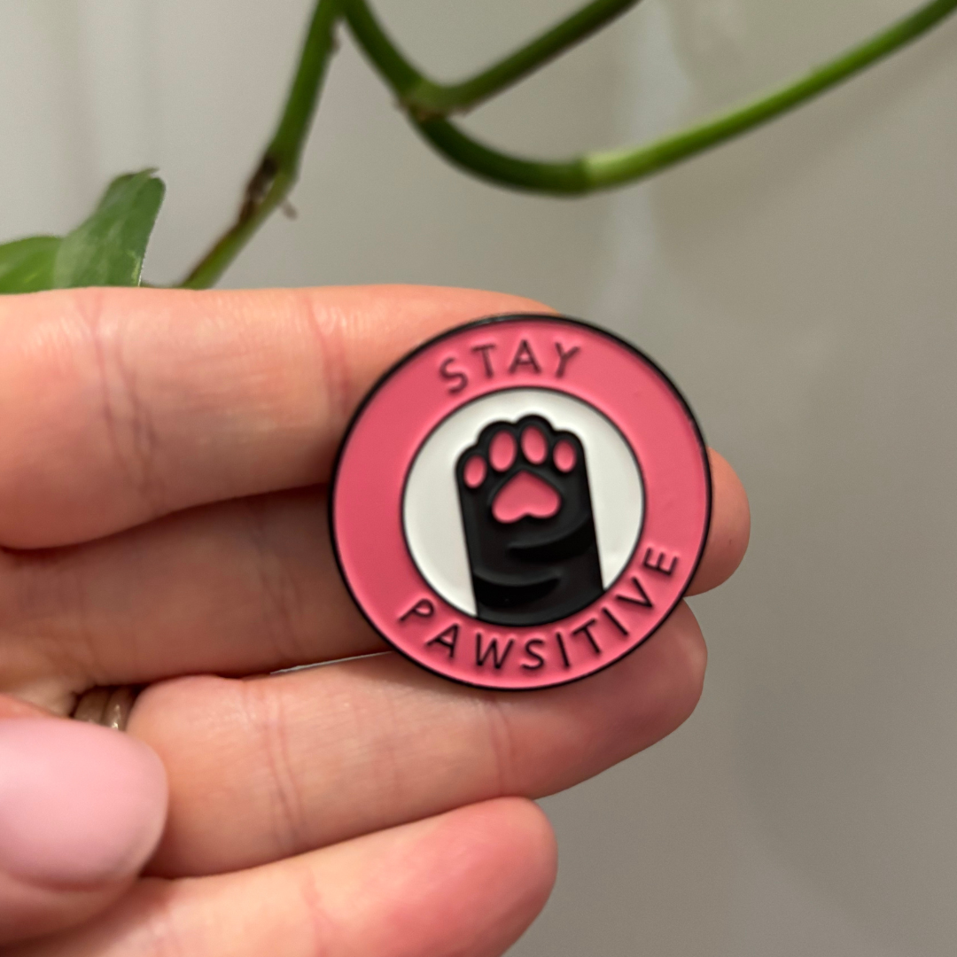 Pin and Badges | Assorted Designs