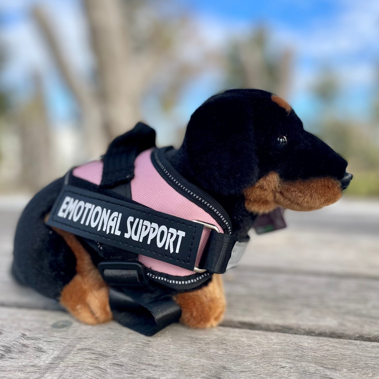 Dachshund Dog - Plushie - ESSA - Living Nature - Emotional Support Stuffed Animal