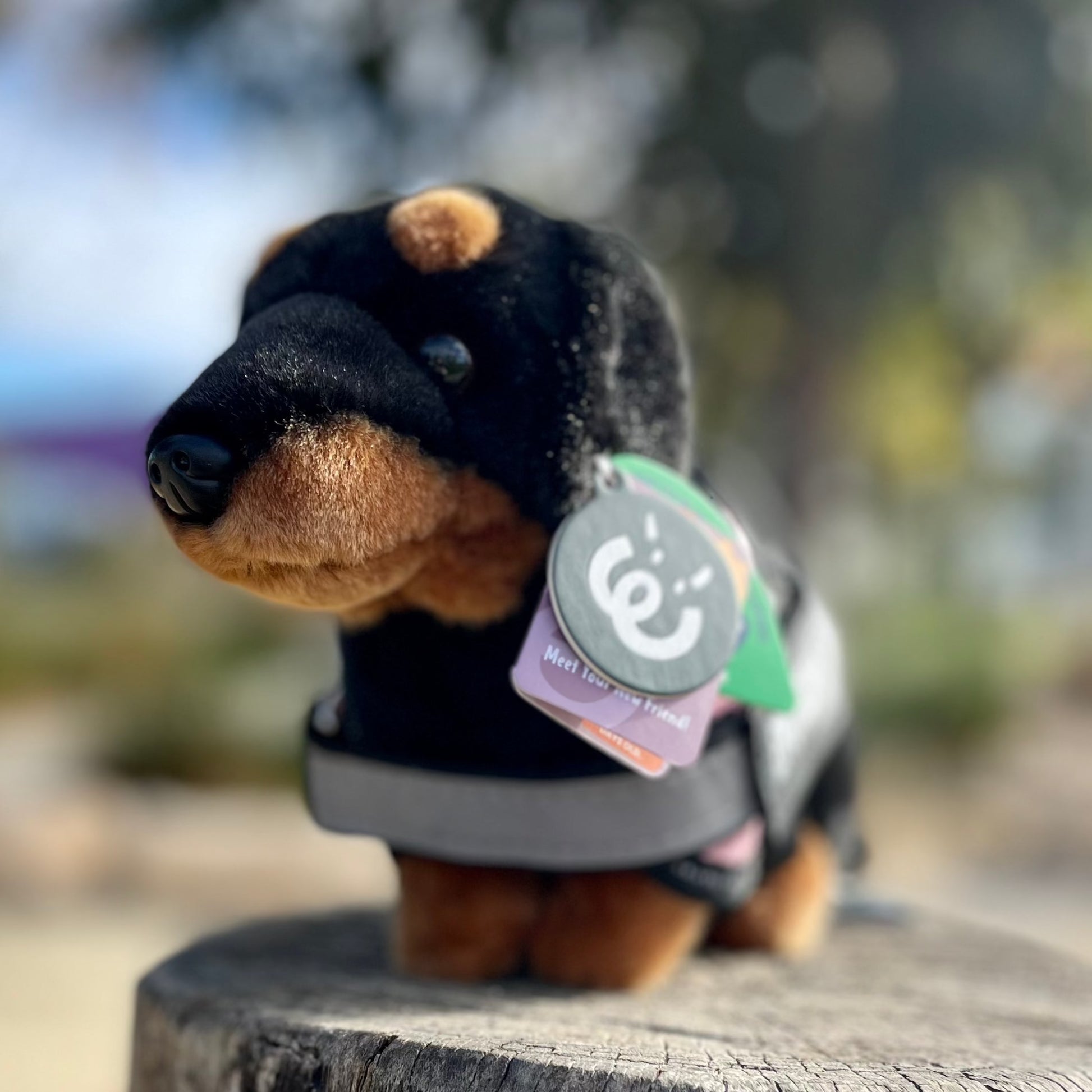 Dachshund Dog - Plushie - ESSA - Living Nature - Emotional Support Stuffed Animal