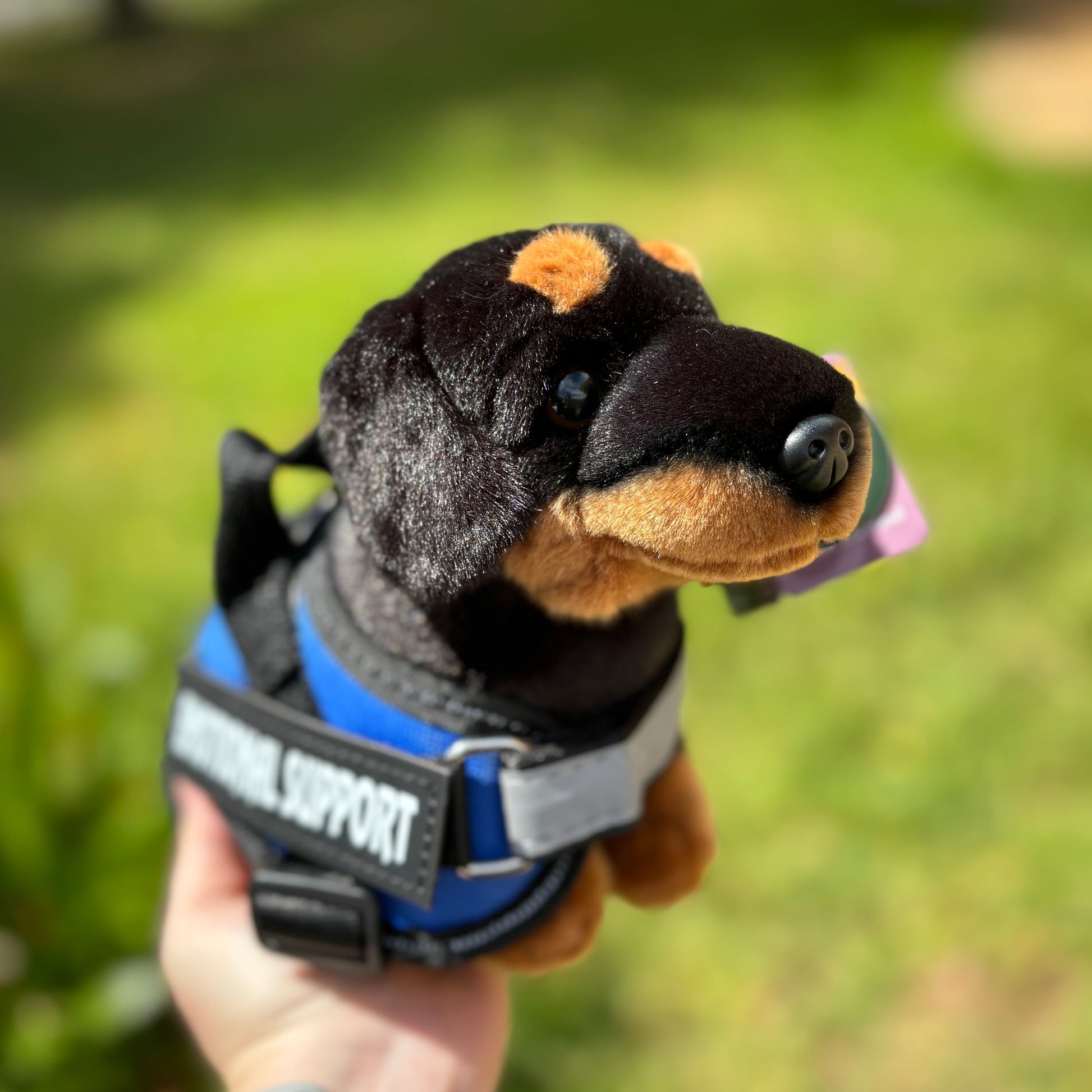 Dachshund Dog - Plushie - ESSA - Living Nature - Emotional Support Stuffed Animal