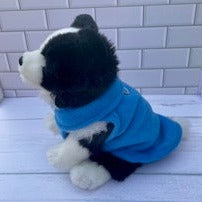 border collie dog wearing blue fleece vest