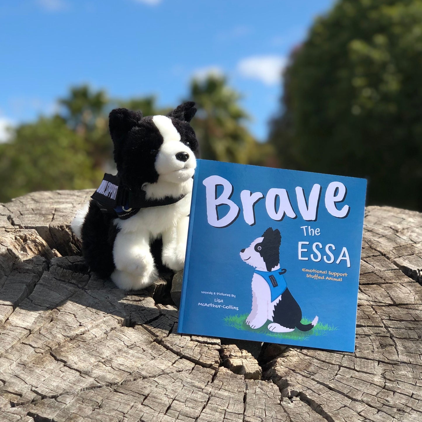 children's picture book called Brave The ESSA - a book about Emotional Support Stuffed Animals and a Border Collie dog.