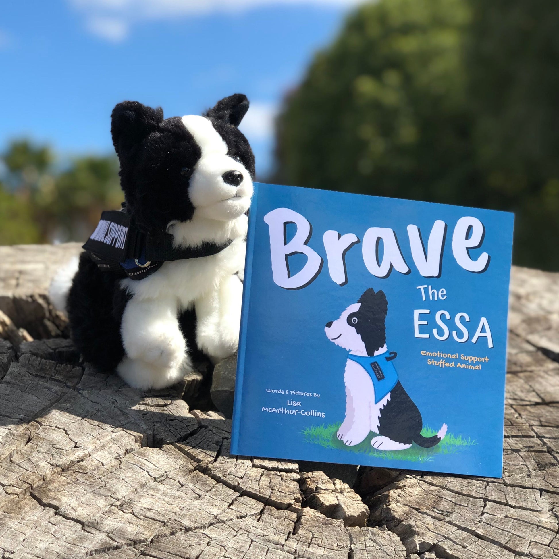 children's picture book called Brave The ESSA - a book about Emotional Support Stuffed Animals and a border collie dog