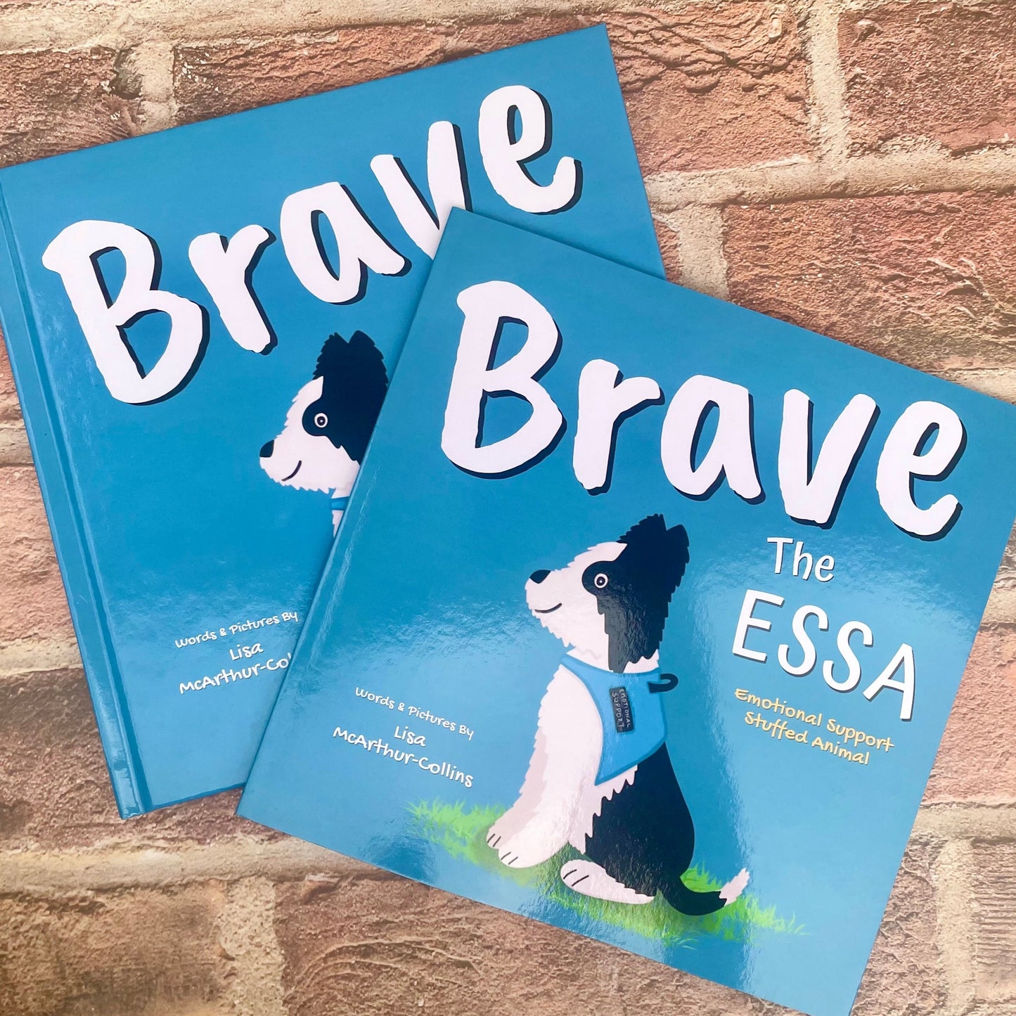 children's picture book called Brave The ESSA - a book about Emotional Support Stuffed Animals