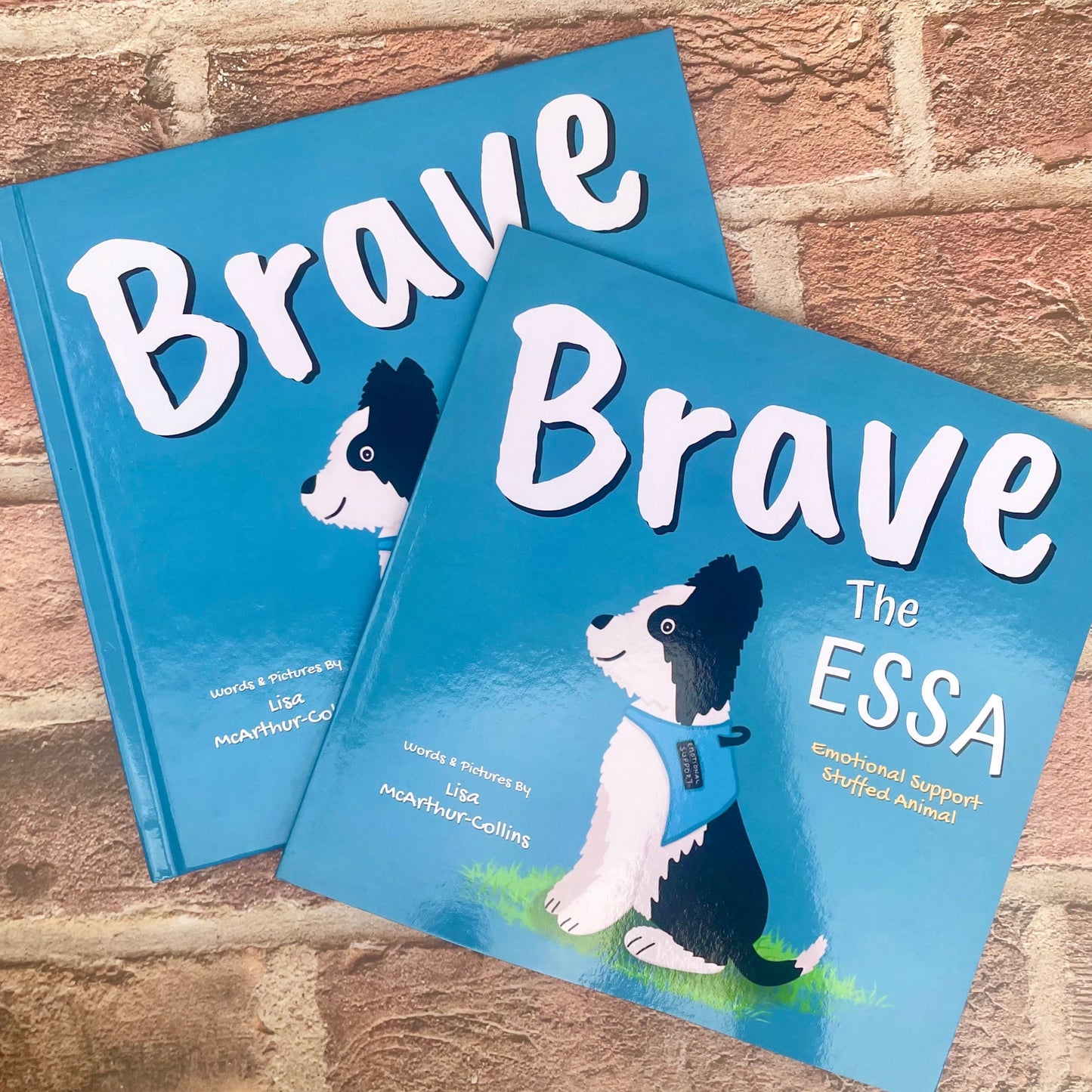 children's picture book called Brave The ESSA - a book about Emotional Support Stuffed Animals