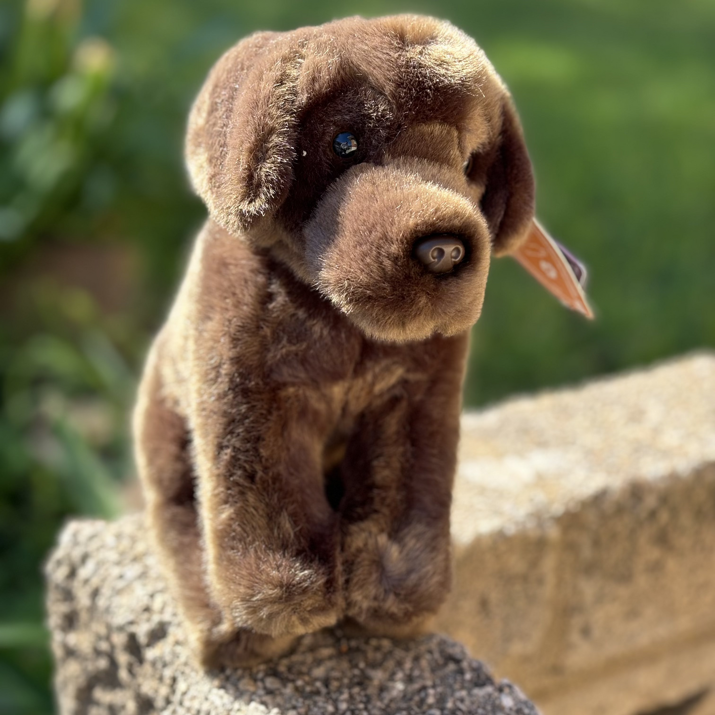 Chocolate Labrador Emotional Suppor Stuffed Animal