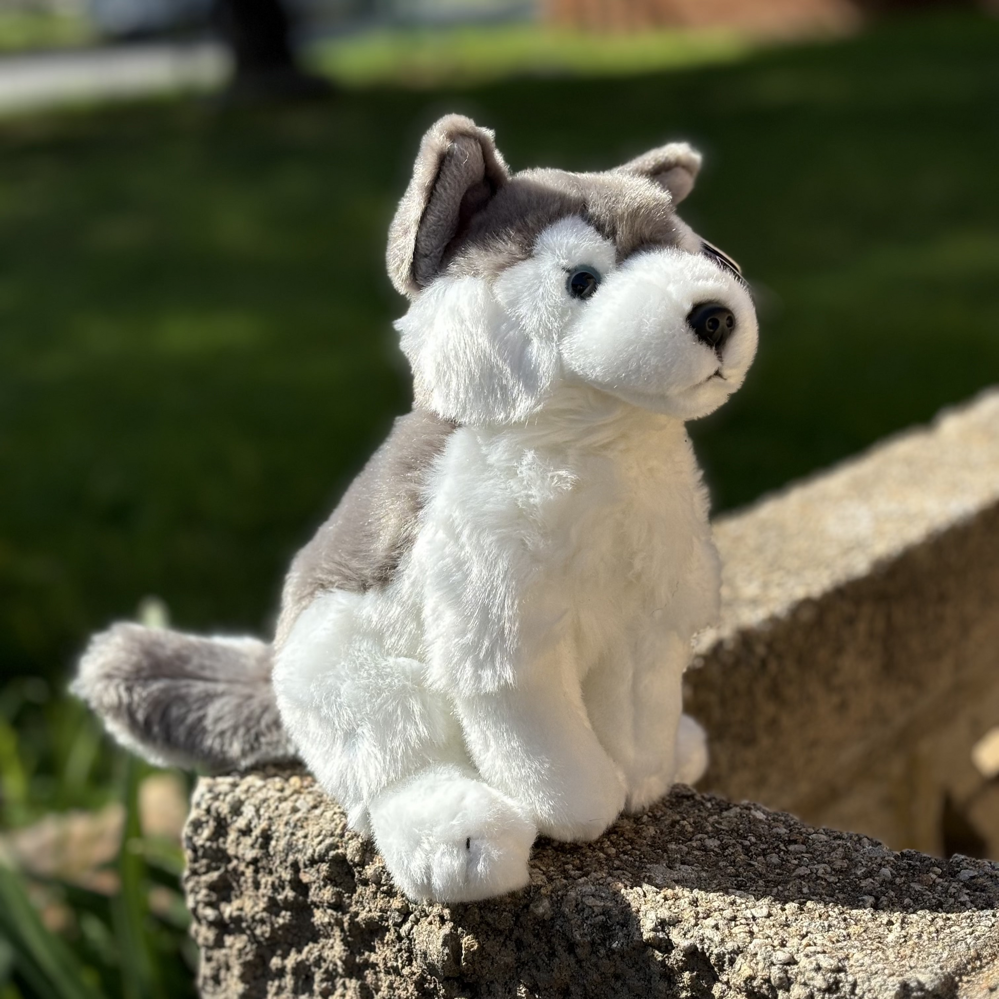 Husky Plush Dog - Emotional Support Stuffed Animal