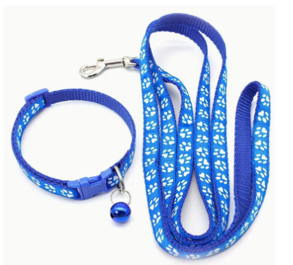 Blue dog leash and collar set