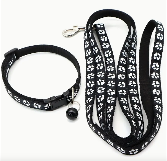 Black dog leash and collar set