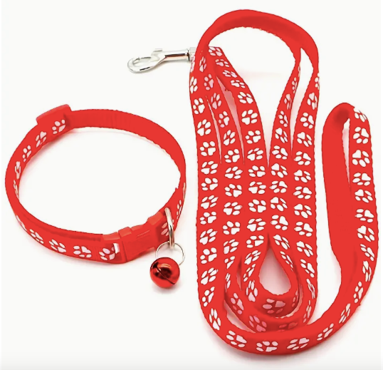 Red dog leash and collar set