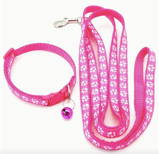 Pink dog leash and collar set