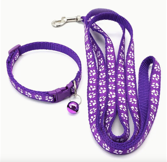 Purple dog leash and collar set