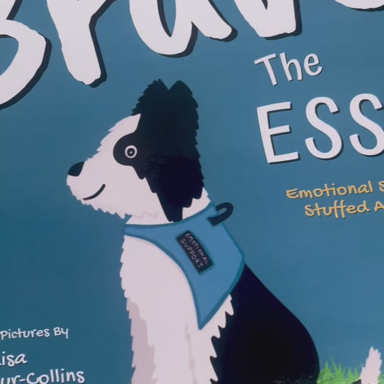 children's picture book called Brave The ESSA - a book about Emotional Support Stuffed Animals. A video of looking inside the book.