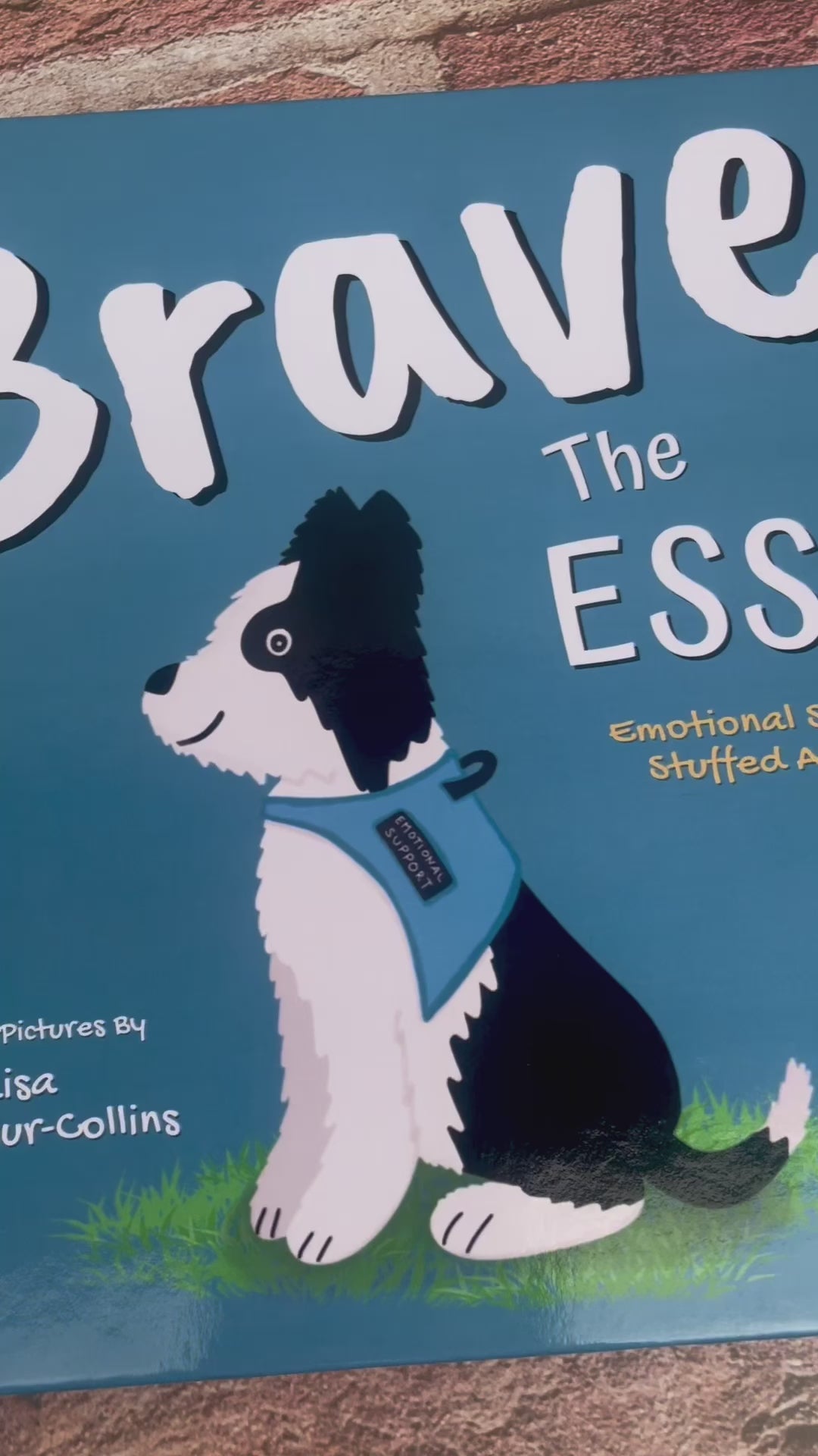 children's picture book called Brave The ESSA - a book about Emotional Support Stuffed Animals. A video of looking inside the book.