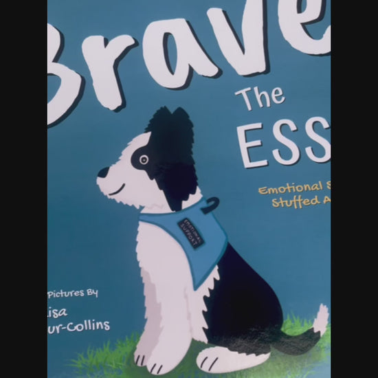 children's picture book called Brave The ESSA - a book about Emotional Support Stuffed Animals. Video looking through internal pages of the book.