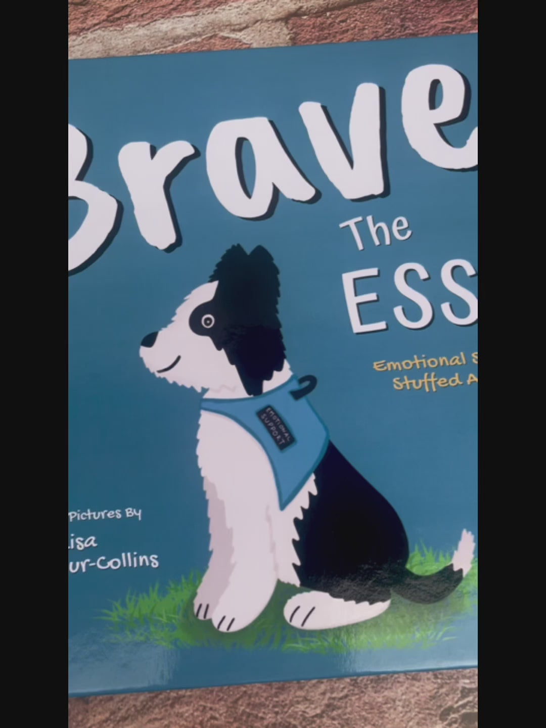 children's picture book called Brave The ESSA - a book about Emotional Support Stuffed Animals. Video looking through internal pages of the book.