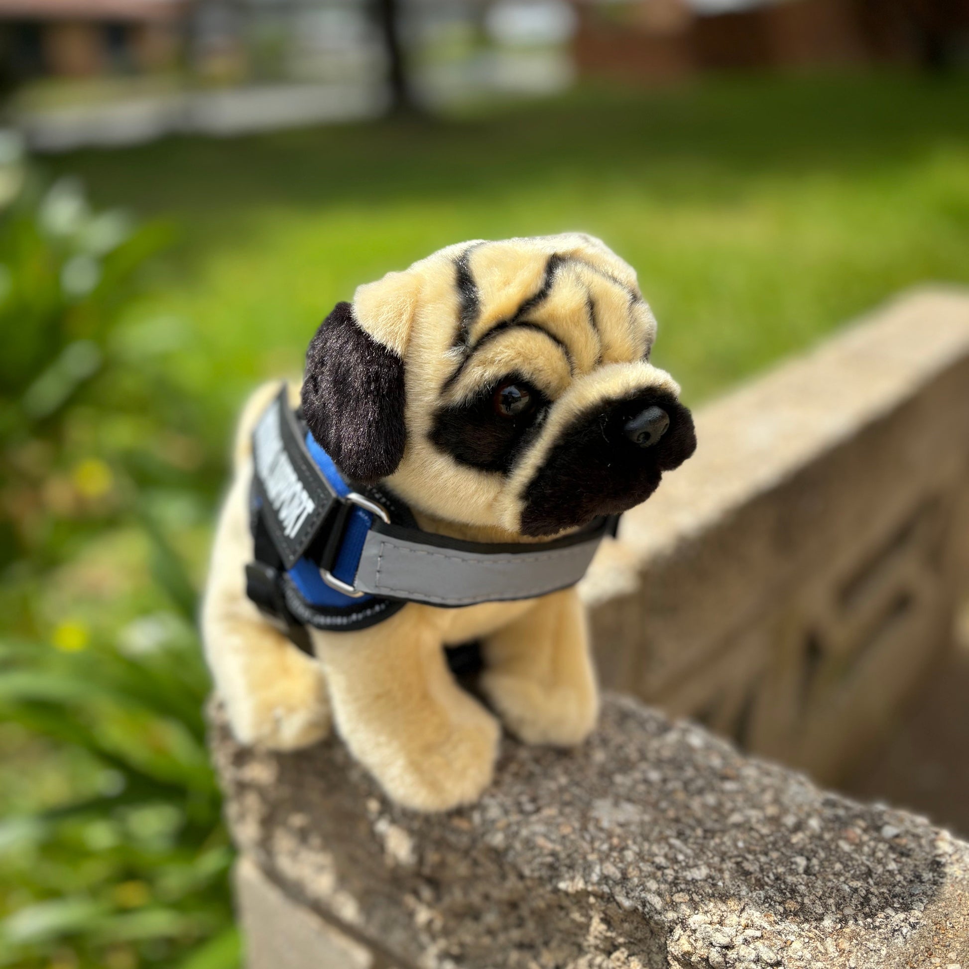 Emotional Support Stuffed Animal - ESSA - Living Nature - Pug Dog